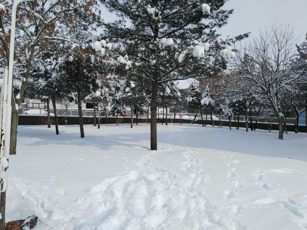 Asm Dış Görünüm 9